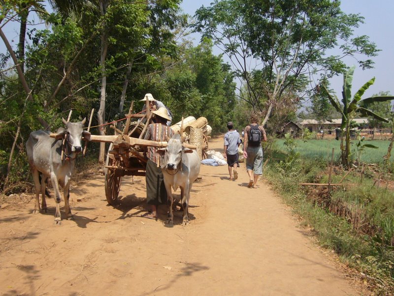 Travel - Myanmar - Inle Lake - Second Boat Trip - Walk to the Market